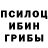 Псилоцибиновые грибы Cubensis Tehmine Xanaxyan