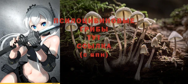 mdpv Верея