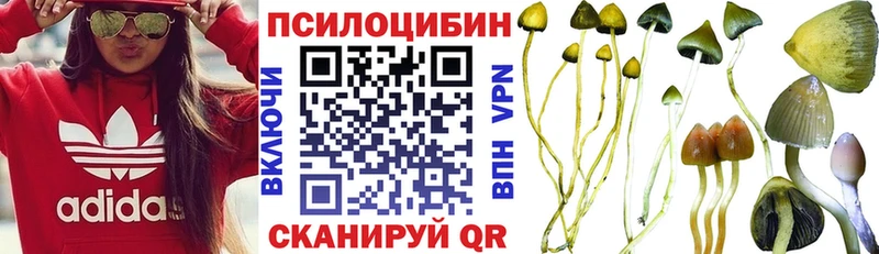 Псилоцибиновые грибы Psilocybine cubensis  как найти закладки  Нурлат 